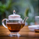 Getzeneara - Hand-Blown Glass Teapot with Stainless Steel Infuser